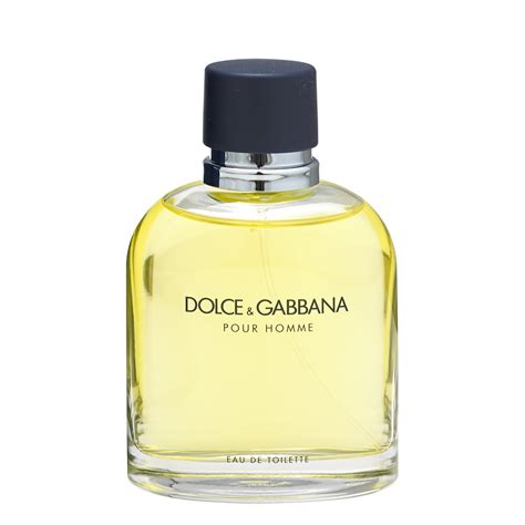 veste dolce gabbana homme|dolce gabbana pour homme 125ml.